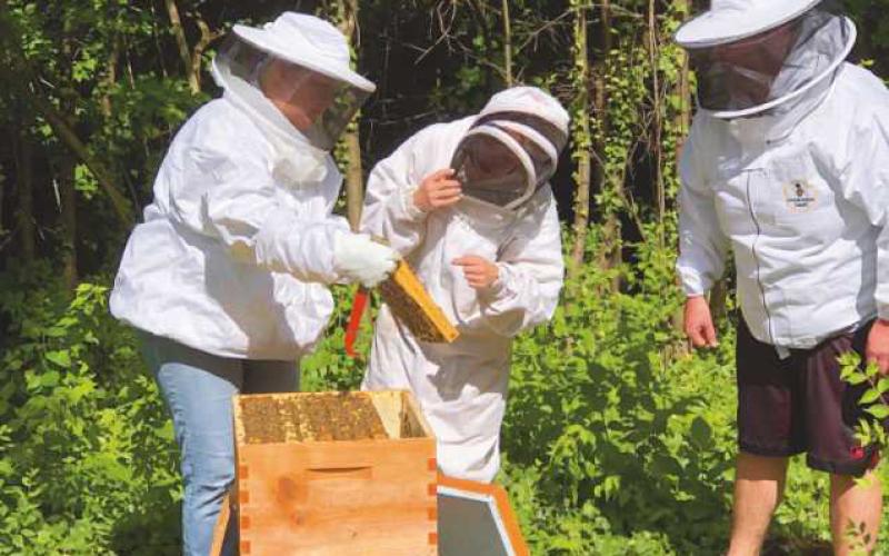 577 Foundation beekeeping program receives grant