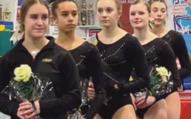 PHS gymnasts host meet, celebrate seniors