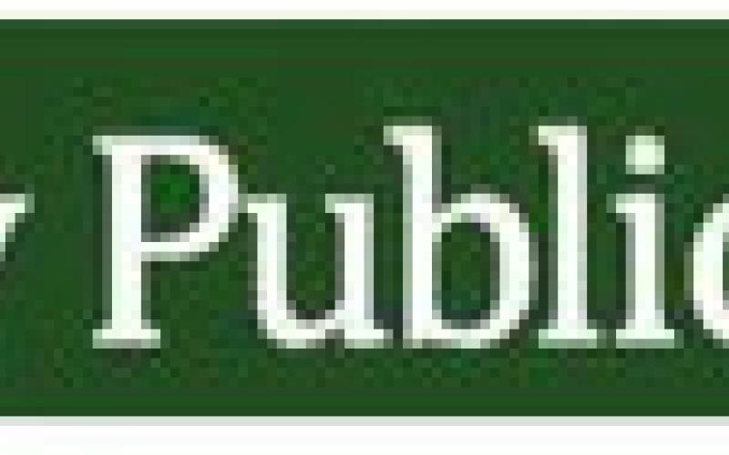 Way Public Library