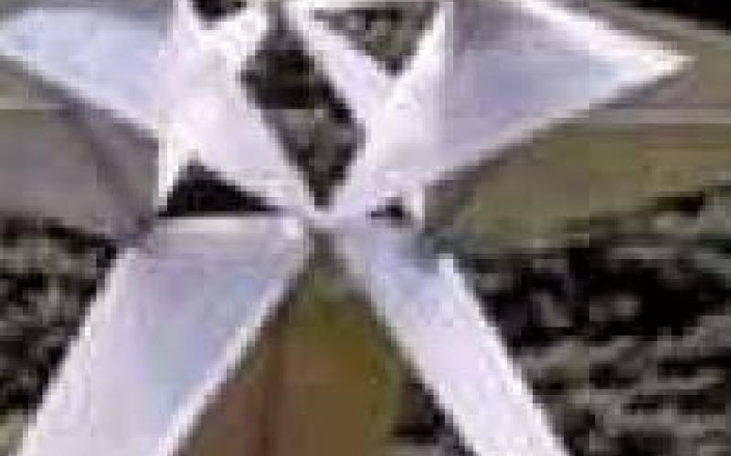 Local photographers invited to enter Perrysburg Sculpture Walk winter photo contest