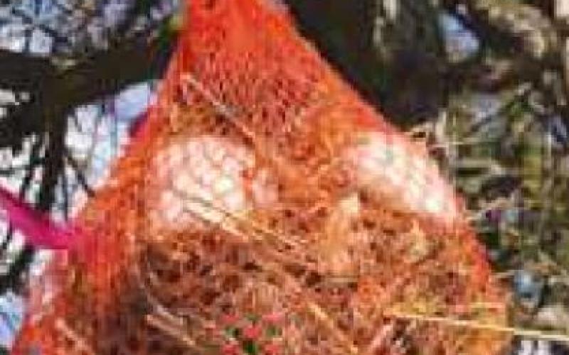 Easy nest building bundle bags