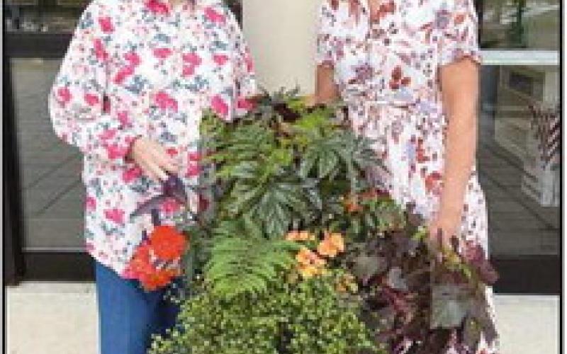 Garden Club beautifies Way Library entrance