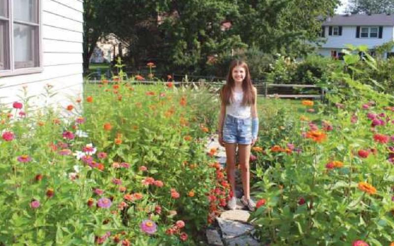Creating a space for monarchs to thrive