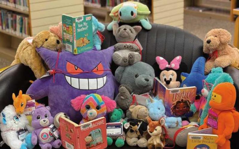 Way Library hosts stuffed animal sleepover
