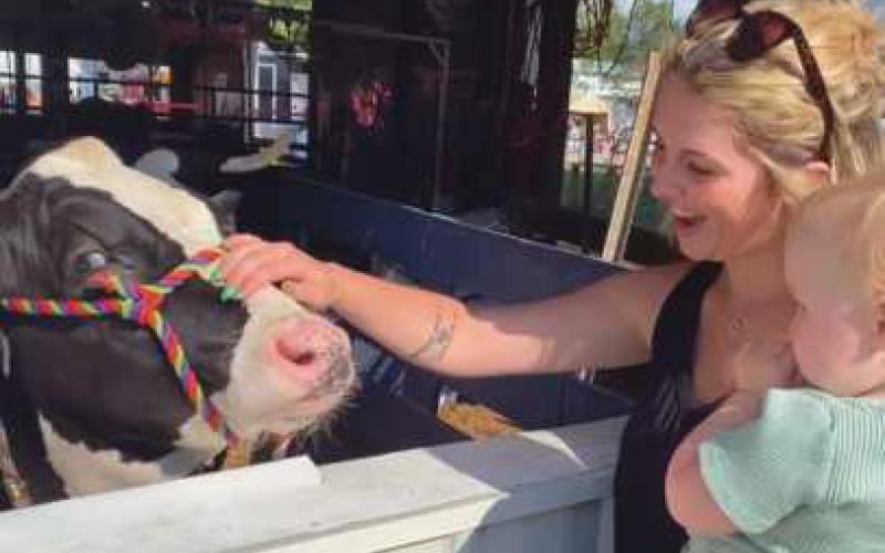 150th Wood County Fair held in Bowling Green
