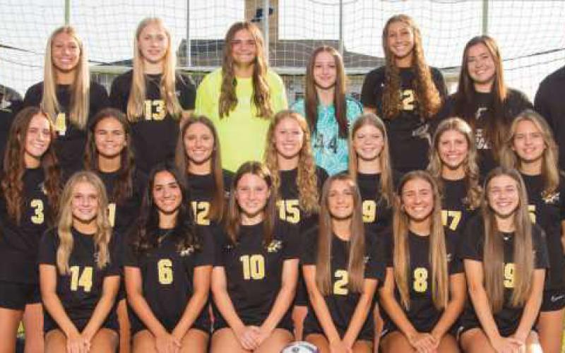 Girls soccer team