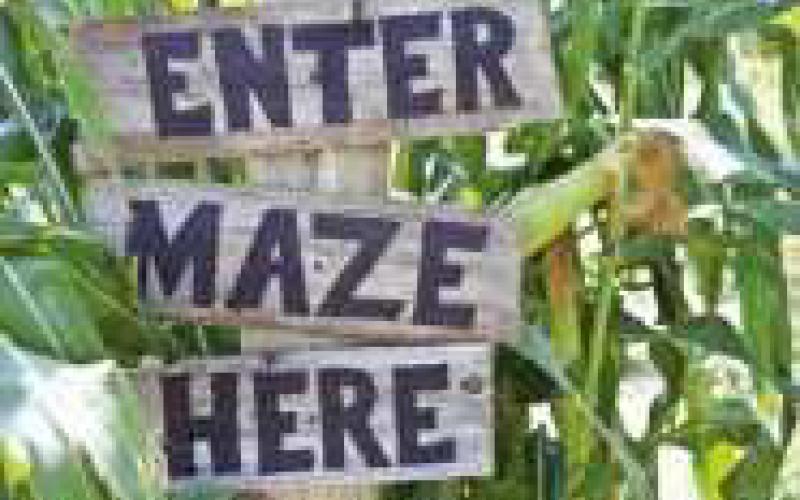 Corn maze open