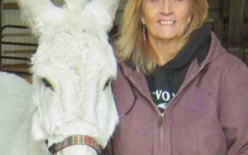 Nancy Swigart, founder and director of the Healing Barn, with barn mascot Jack the donkey.
