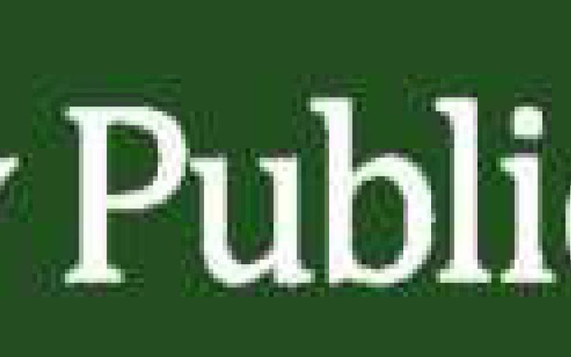 Way Public Library