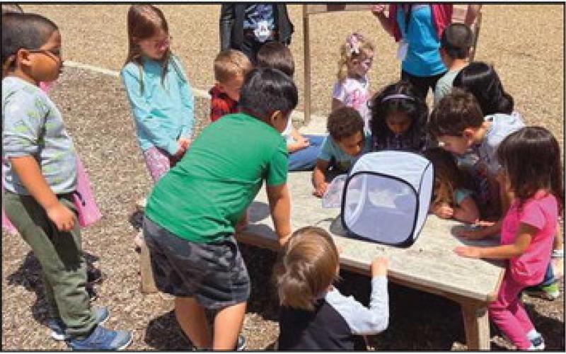 Perrysburg Preschool earns top rating