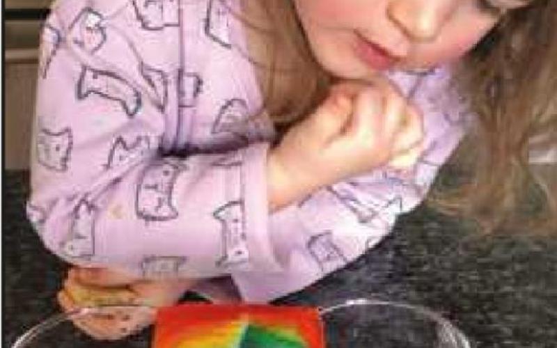 Grow a rainbow for St. Patrick’s Day