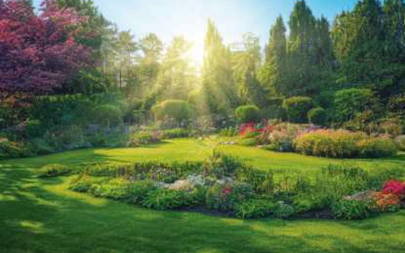 A spring lawn revitalization strategy