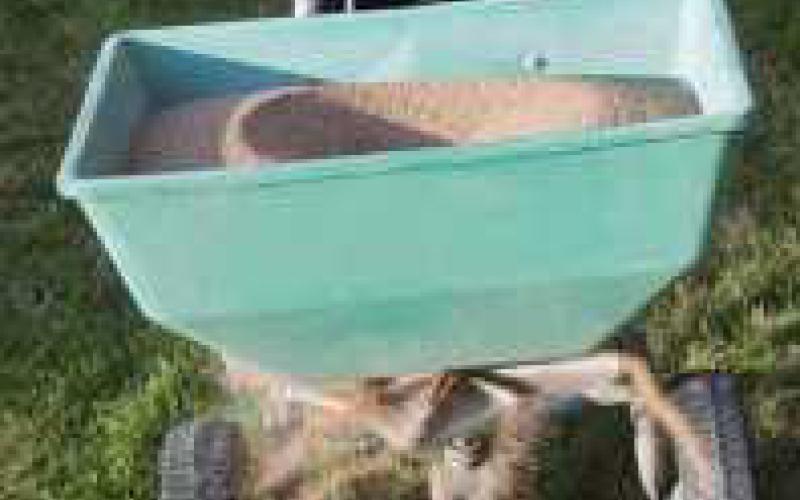A spring lawn revitalization strategy