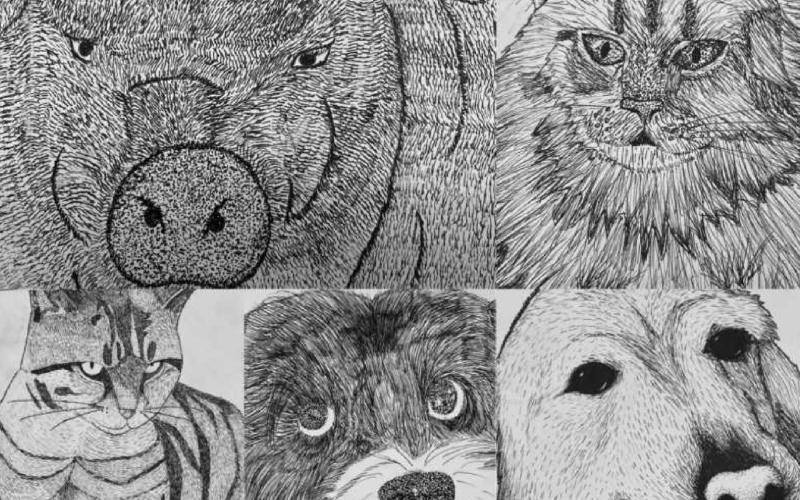 Animals featured in artwork by PJHS students