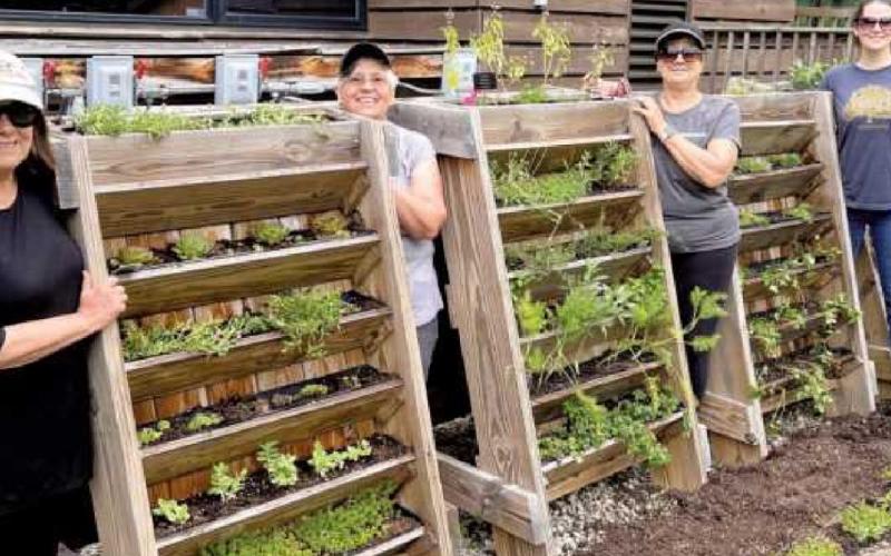 The new garden features vegetables, herbs and plants of different textures and smells.
