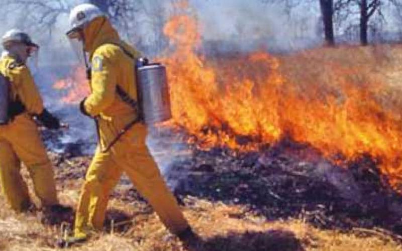 Wood County Park District plans series of prescribed fires
