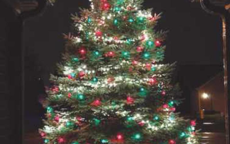Monclova neighborhood hosts annual Christmas tree lighting, collects donations for Hannah’s Socks