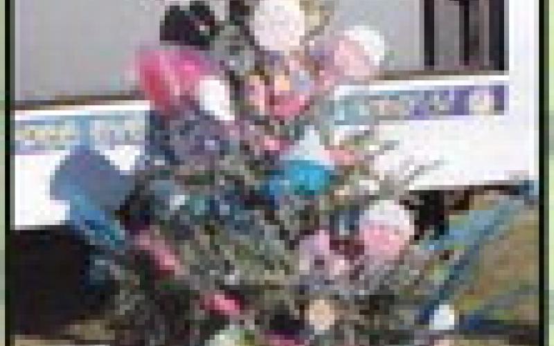 Huge crowd enjoys Home for the Holidays parade, events