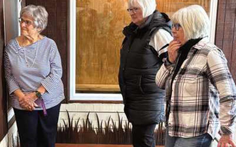 From left, club members Darlene Limmer, Cher Johnson and Joanne West.