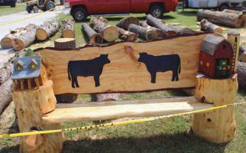 A pictorial look back at the 2024 Wood County Fair
