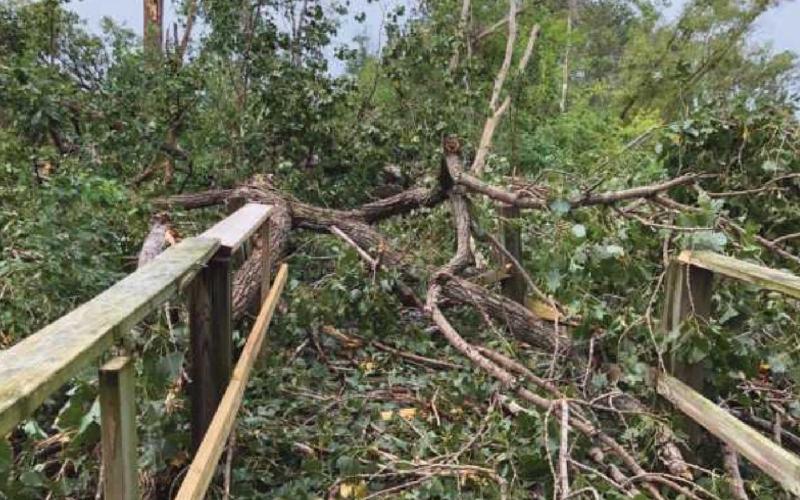 Storm damage forces a portion of Magee Marsh wildlife area to close