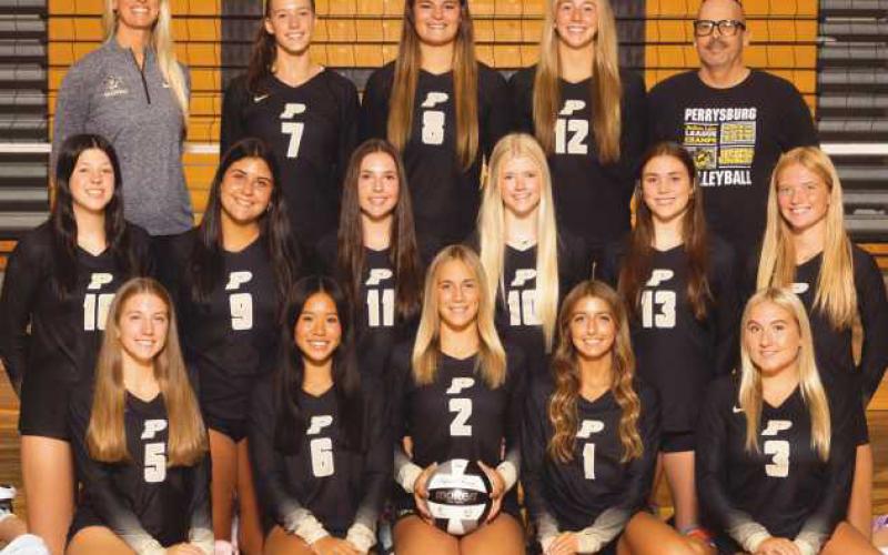Volleyball team