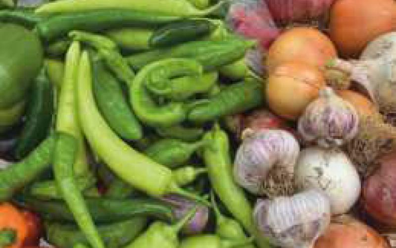577 community gardeners feed area residents