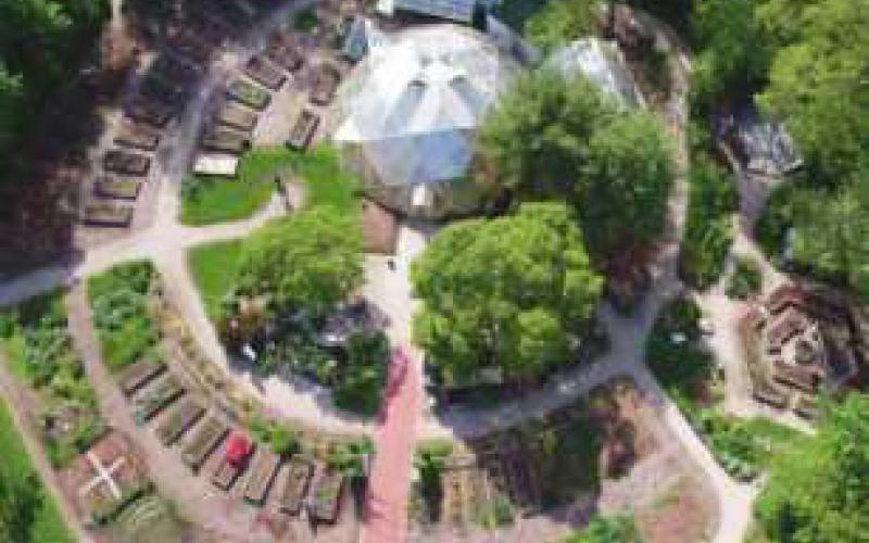 577 community gardeners feed area residents