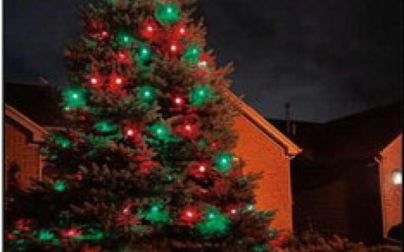 Neighbors gather for tree lighting, assist local charity