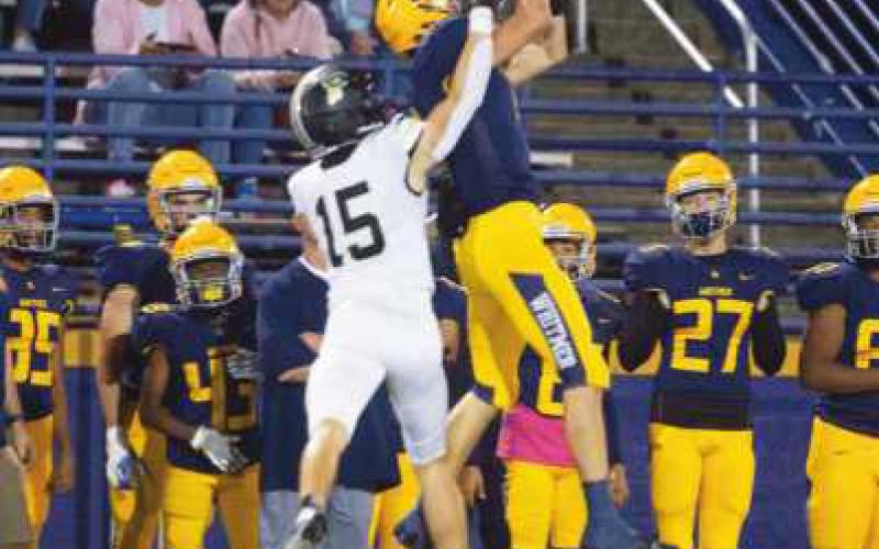 Defensive back Dylan Blubaugh is all over wide receiver Logan Frank as the Panther player leaps up for the catch.