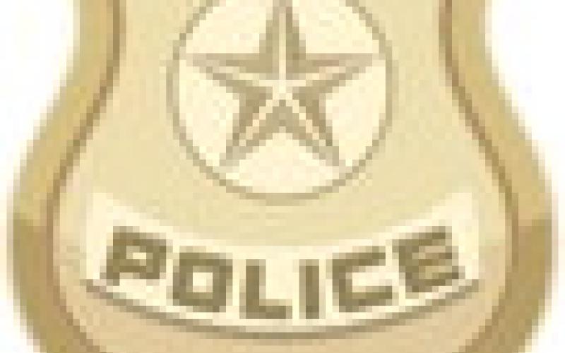 Perrysburg City Police Report
