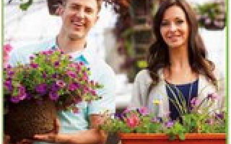 Why it makes sense to purchase from a local greenhouse and garden center