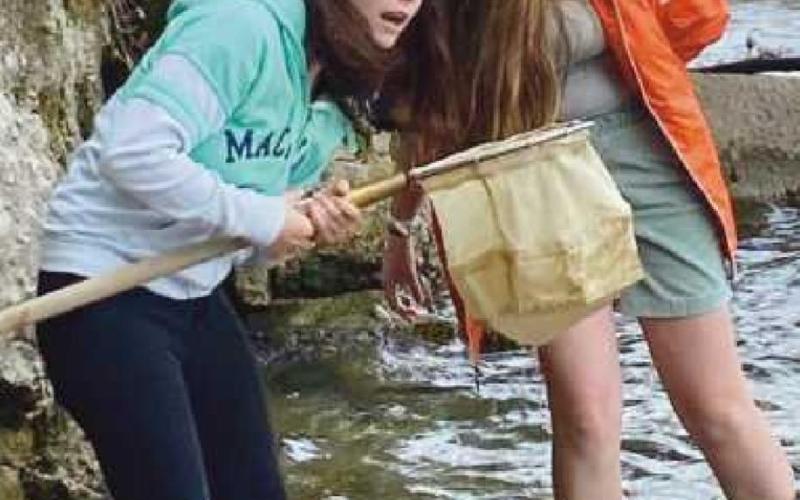 STEM students Leilani Torio, holding the net, and Emilie Lemerand searched for macroinvertebrates to test Lake Erie water quality.