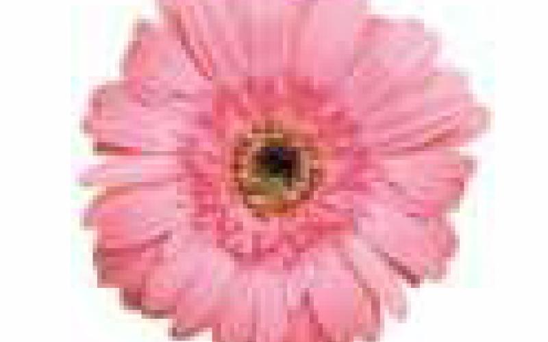 Bedford garden tour is July 8
