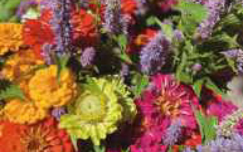 Perrysburg Farmers Market begins May 9