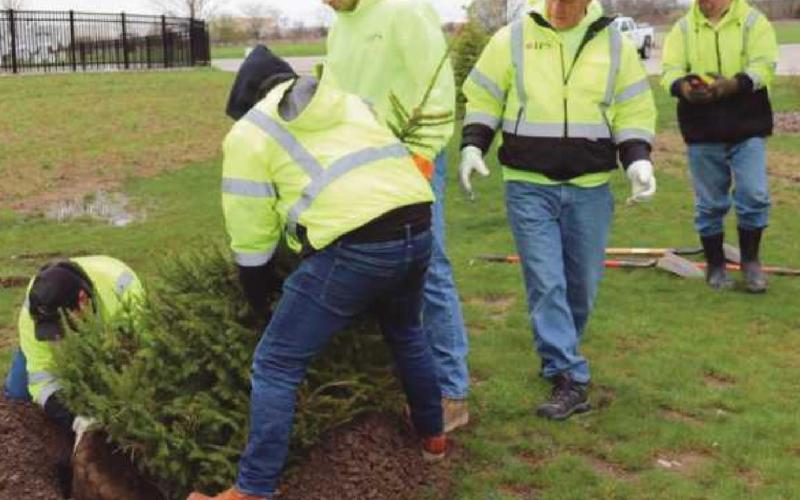 Trees planted at parks on Arbor Day