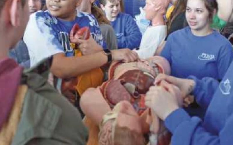 Angela Ruffin was very ”into” the medical technology display of the human body and organs.