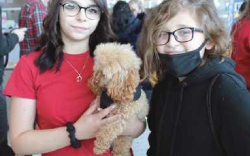 Bresdon Lacure likes the poodle shown by Layla Martinez, a senior small animal care student.