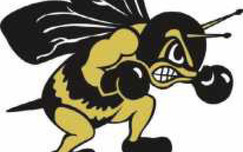 Yellow Jackets