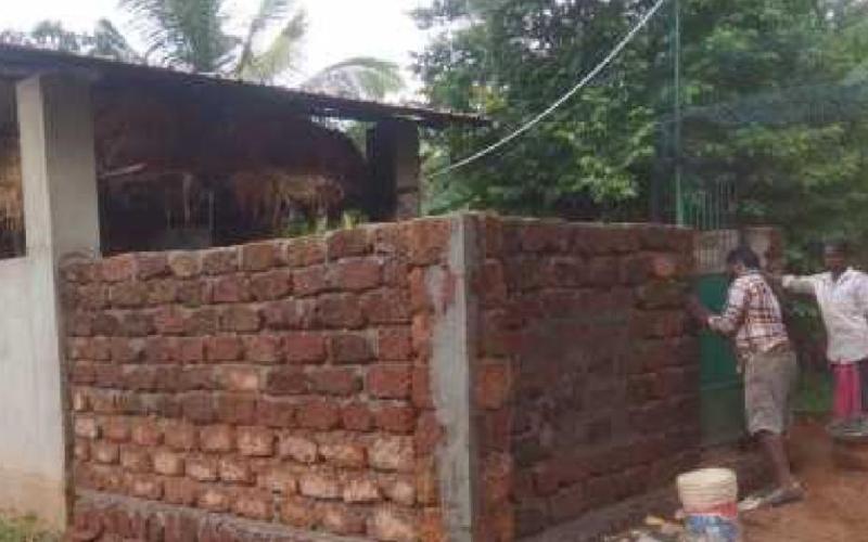 Below is the extension to the shed, providing room for a second cow purchased with a donation from a St. Rose parishioner.