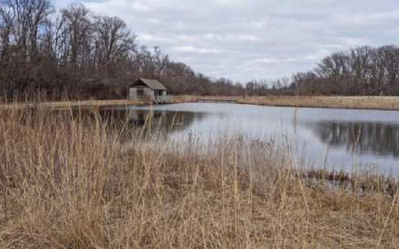 Although the skies over W.W. Knight Park may not show it, spring is around the corner with birds singing as visitors stroll the nature trail and boardwalk.