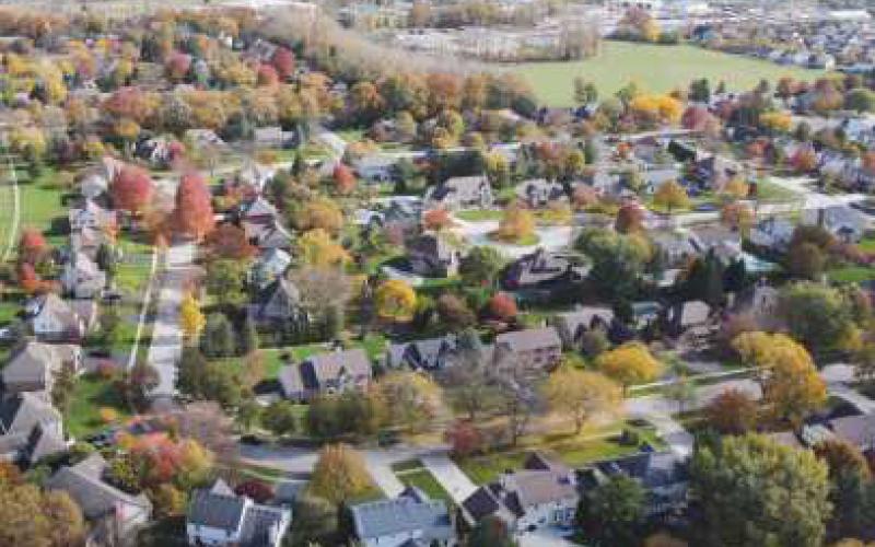 An aerial view of trees in Perrysburg. Photo provided by the city.