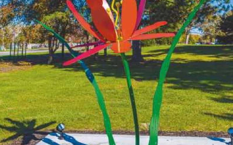 ‘Whimsey’ voted most popular in sculpture walk contest