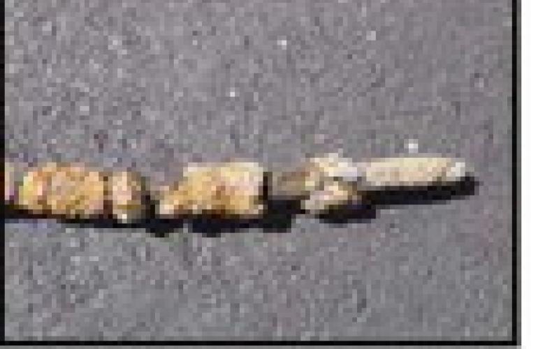 Armored cable relic