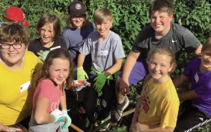 St. Rose sixth graders help out with service project at Toledo Grows