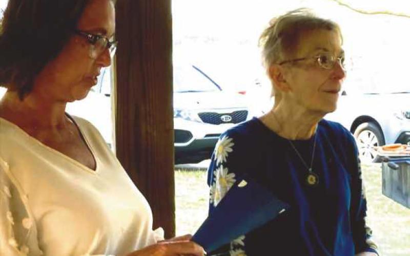 DaZy Aphasia Centre of northwest Ohio holds annual picnic at Veterans Park, offers help