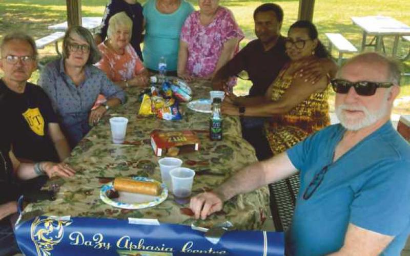 DaZy Aphasia Centre of northwest Ohio holds annual picnic at Veterans Park, offers help