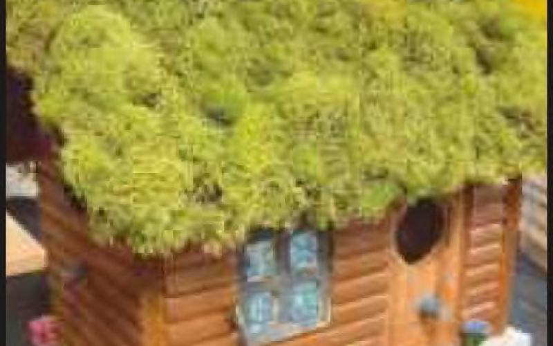 Nature’s Nursery Battle of the Birdhouses auction continues