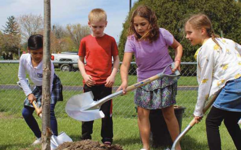 Perrysburg celebrates Arbor Day with tree plantings, banner contest