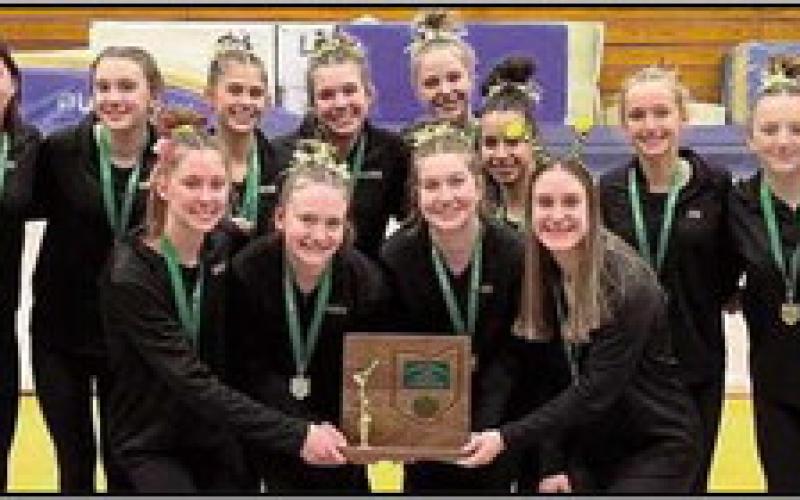 Yellow Jacket gymnasts win district championship